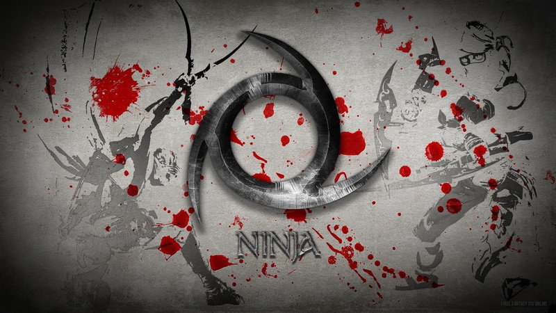 final fantasy xiv a realm reborn video games eorzea cafe, aggression, messy, fear, communication, emotion, no people, vignette, blood, dirt, studio shot