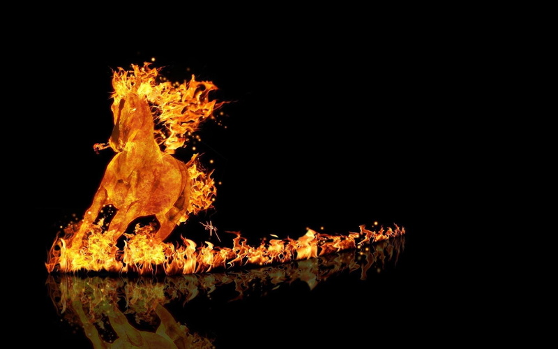 1080P, digital art, horse, 1920x1200, orange, unicorn, burning, fire