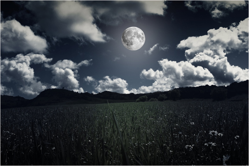 background image, landscapes, afternoon, tree, plant, cloud - sky, beauty, environment, night landscape, night, lunar landscape, sky, nature, scenics - nature