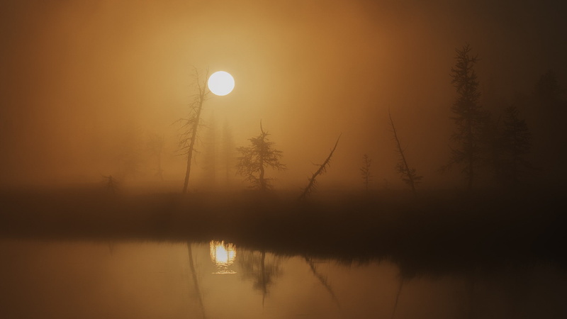 water, nature, nature landscape trees mist blurred sun water lake reflection silhouette, tree, scenics - nature, planetary moon, reflection lake, plant