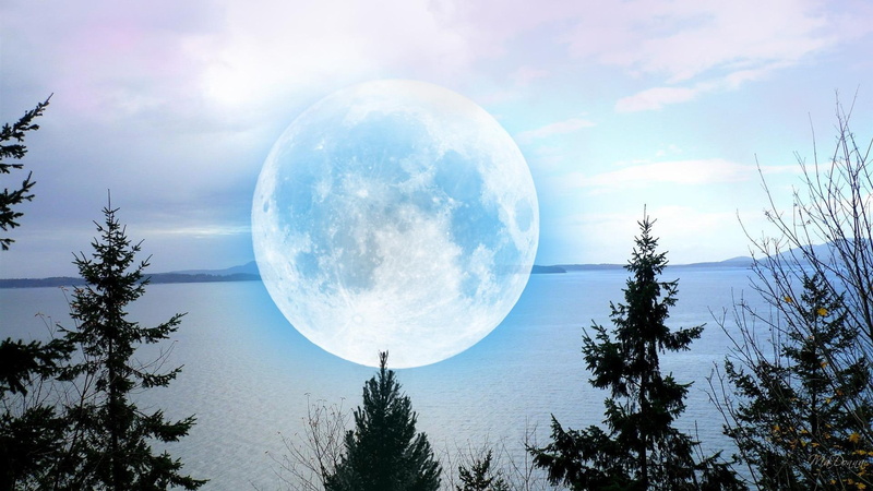 water, ocean, 3d and abst, islands, trees, washington, firefox persona, widescreen, chuckanut, 1080P, moon