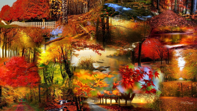 colorful, orange, trees, autumn, water, 1080P, fence, bright, rivers, brown, collage, maple, tree, leaves, change, graphic, browns, art, streams, red