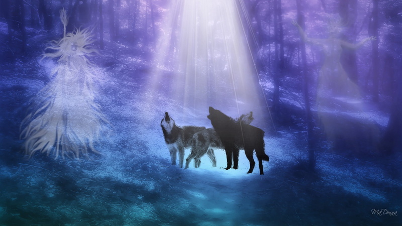 persona, fantasy, animals, art, goth, ghosts, hd, 1080P, calling, forest, dogs, gothic, Firefox Persona, spirits, firefox