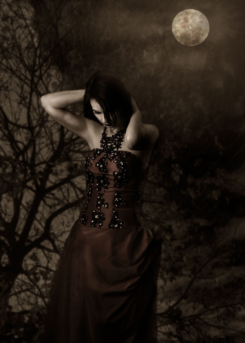 only women, adults only, long hair, tree, monochrome, dark, fashion, night, dead tree, one woman only, head, 1080P, dark mood, beautiful woman, moon, dress