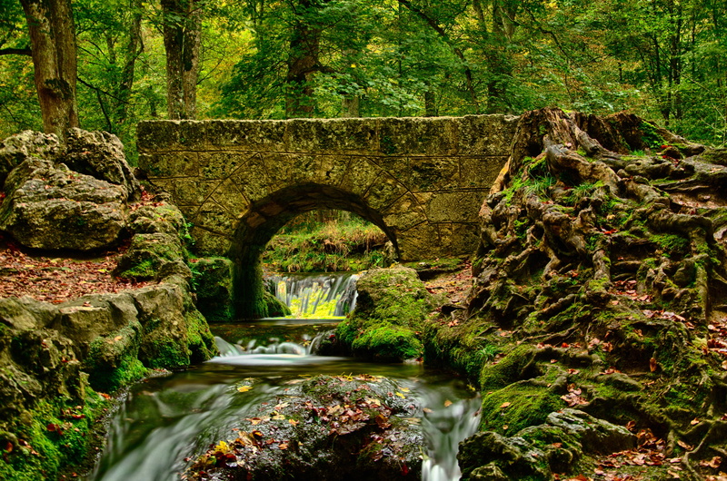 surrounded, waters, root, day, tree, stone bridge, scenics - nature, water running, concrete, leaf, landscape, idyllic, leaves, urach waterfall, brühl bach