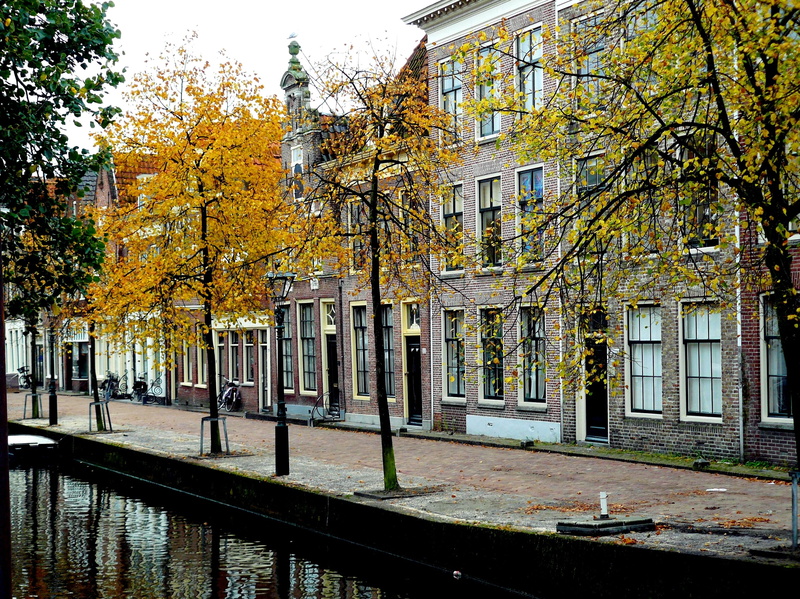 urban Scene, no people, house construction, facade, lights, stones, post, netherlands, tree trunk, growth, water, away, home, reflections, footpath, feel
