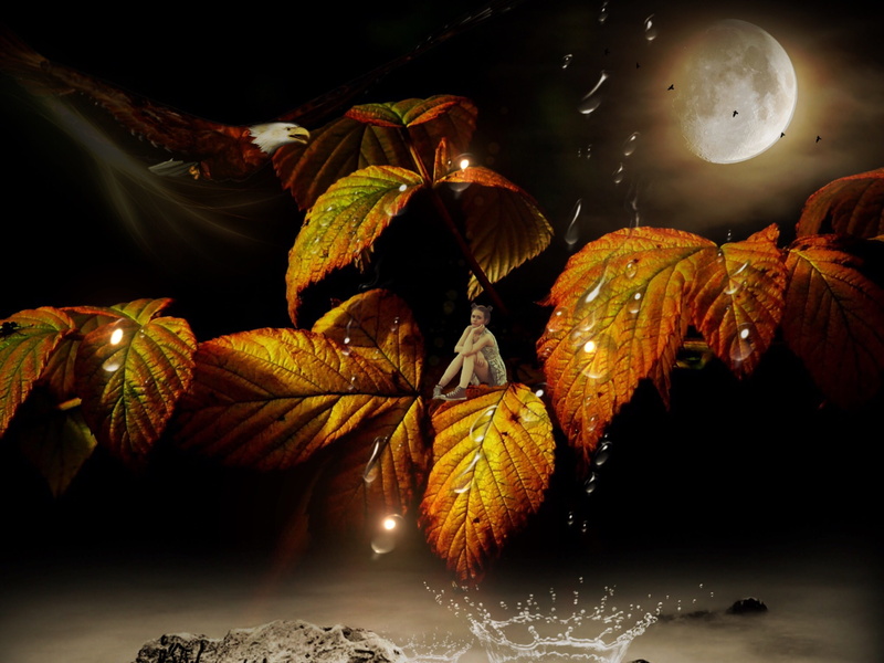 plant, fall foliage, autumn, mood, plant part, birds, full moon, brown, night, drop of water, star - space, tranquility, nature, reflection, leaves in the autumn