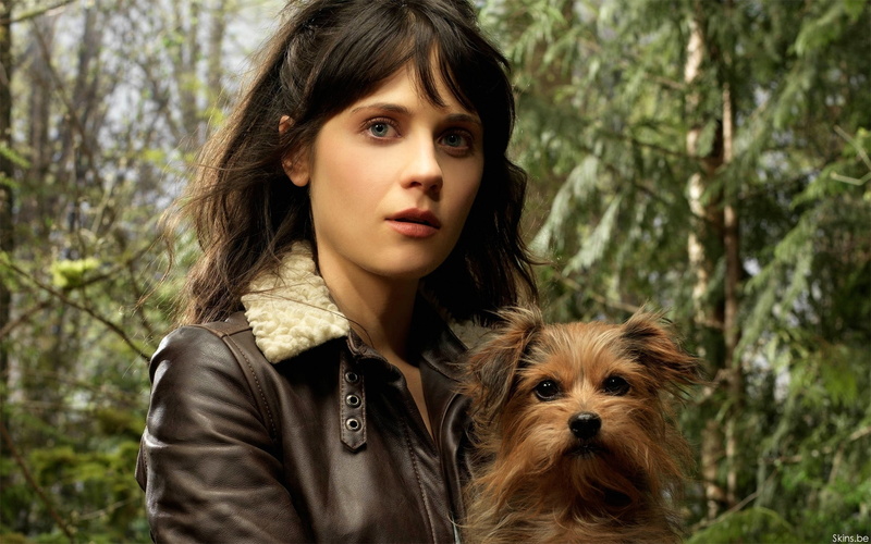 deschanel, actress, brunettes, women, expressionism, man, dogs, animals, 1080P, celebrity, art, zooey, wizard, face, tin, hd