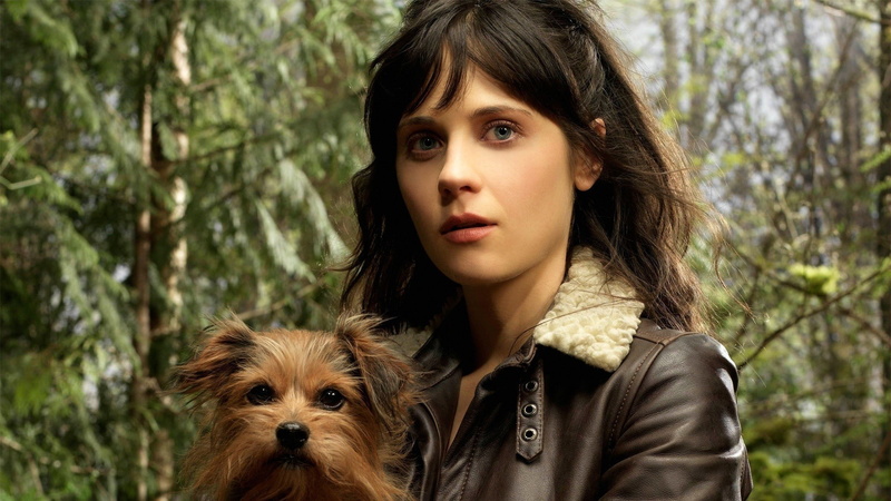dog, 1080P, Zooey Deschanel, actress, brunette, Tin Man