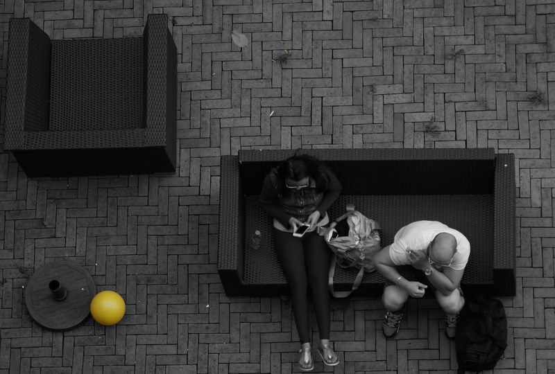 together, sofas, woman, topview, portrait, black, wear, yellow, people, dog, dark, white, leisure activity, indoors, full length, real people, canine, lifestyles