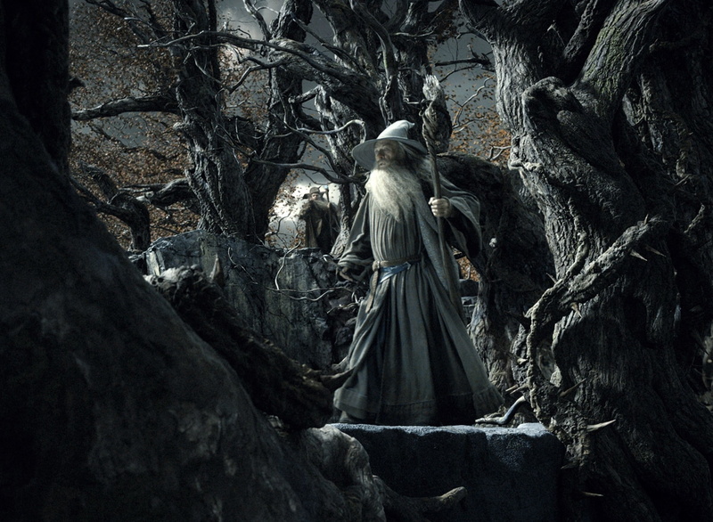 THE HOBBIT: THE DESOLATION OF SMAUG, 1080P, gandalf, Radagast, Ian McKellen