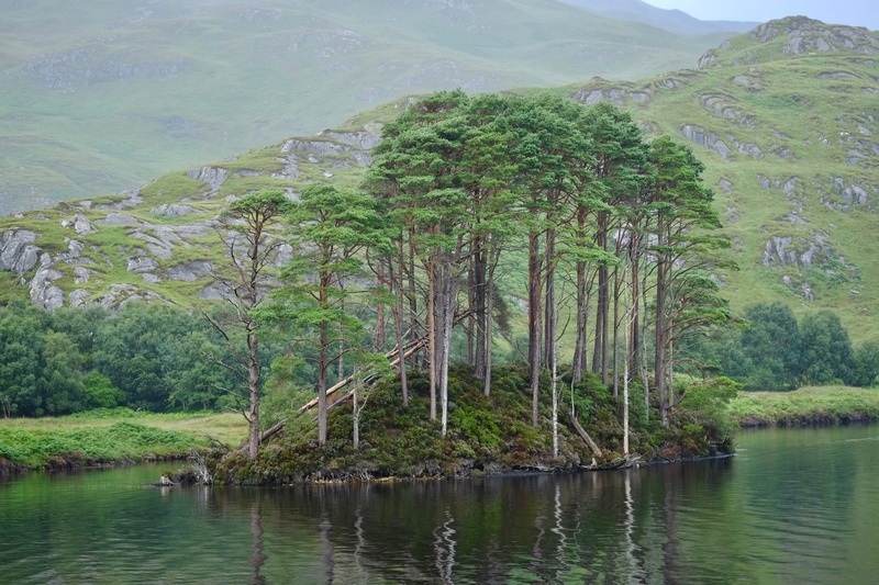 tranquil scene, no people, scenics - nature, environment, harry potter, lake, landscape, day, growth, 4K, plant, green color, mountain, tranquility, dumbledore