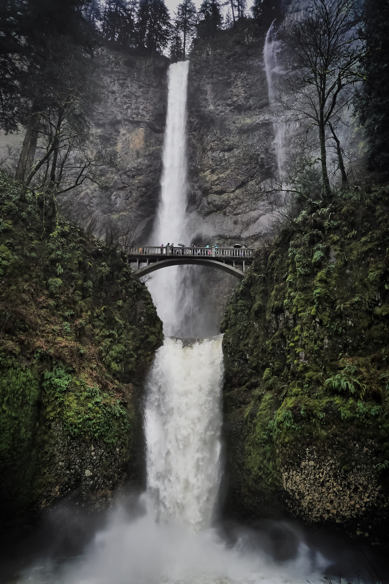 waterfalls, grey, beauty in nature, plant, waterfall, flowing water, cliff, nature, rock, outdoors, built structure, mountain, power, explore, connection