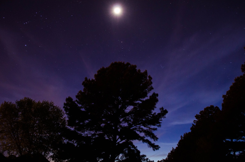 no people, wood, illuminated, scenics - nature, full, moonlight, silhouettes, luminosity, outdoors, moon, star, galaxy, astrophotography, low angle view