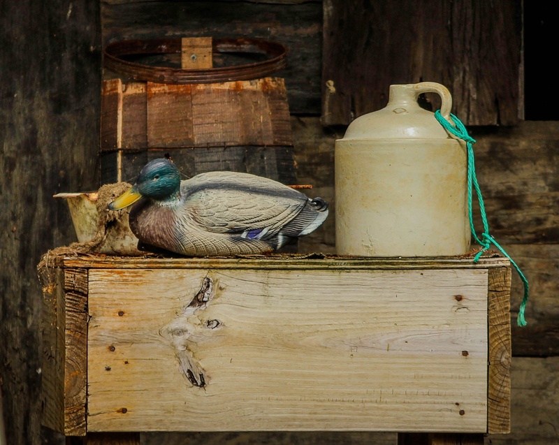 rustic, old, top, no people, duck decoy, brown, beside, bayou, perching, vertebrate, bottle, box, cajun home, animal themes, wooden, domestic animals, group of animals