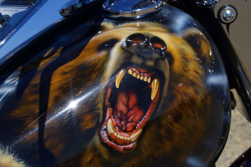 paintwork, pets, anger, negative emotion, domestic animals, decoration, mammal, animal, close-up, domestic, varnishing, mouth open, animal teeth, 2K, aggression