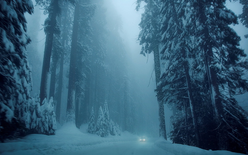 tree, snow, forest, mood, vehicle, car, 1080P, nature, winter, cold, trees, road