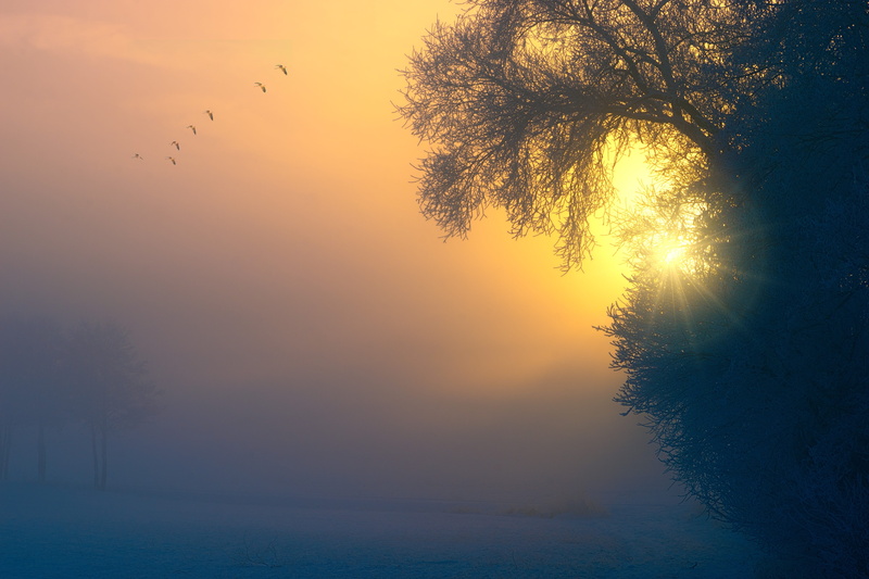 awakening, winter, snow, outdoors, rest, beauty in nature, atmospheric, landscape, sunlight, sunset, seashore, tranquil scene, aesthetic, silhouette, scenics - nature