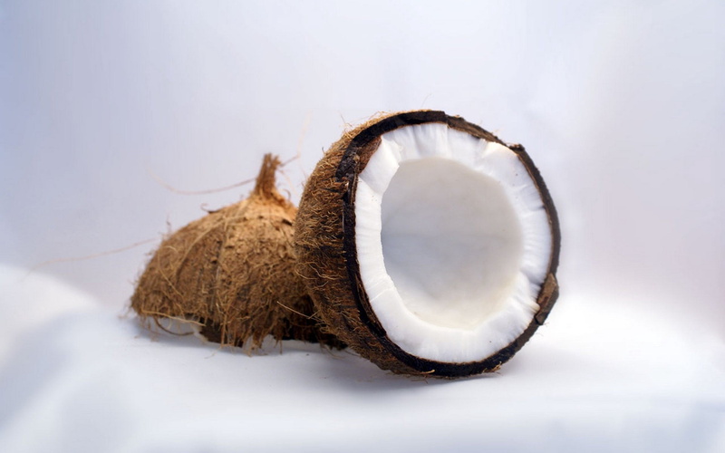 indoors, single Object, animal wildlife, shell, winter, studio shot, no People, cross Section, tropical Fruit, food And Drink, coco, backgrounds, nature