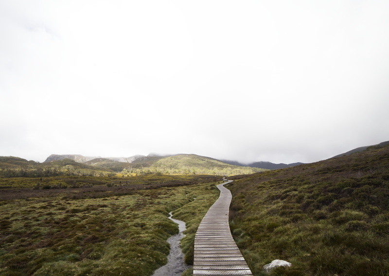 nature, water, green, 4K, wilderness, dock, green grass, natural, brown, picturesque, wooden, outdoors, tasmania, colour, cradle  mountain, wood, elements