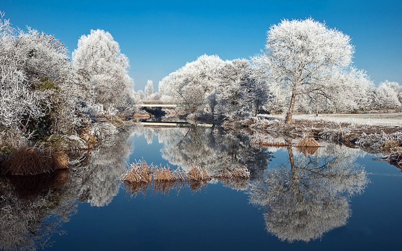 white, picture, natural, prepare, shall, everything, 1080P, attractive, scenery, 1920x1200, Beautiful, Winter, photo, snow