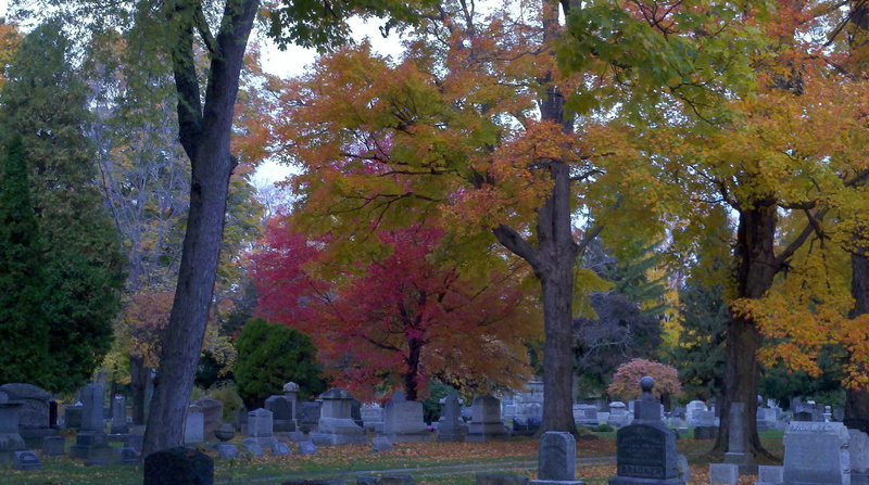 nature and landscapes, autum, cemetary, 1080P, fall, leaves