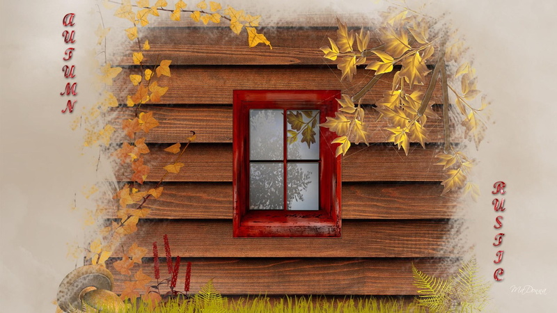 cabin, trees, autumn, rustic, leaves, flowers, fall, autum, 1080P, firefox persona, grass, mushrooms, shadow, window, words