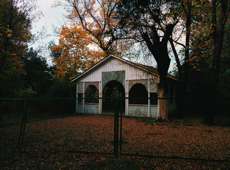 architecture, change, home, built structure, trees, house, no people, 2K, autumn, growth, building, land, plant part, tree, vanadzor, nature, autum, outdoors