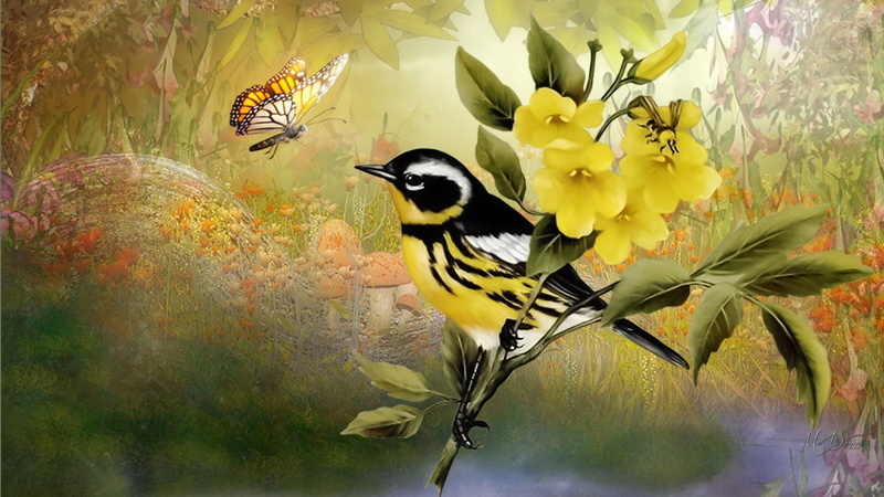 tree, animal, beauty in nature, outdoors, autum, Natures Bird Collage, animal wildlife, no people, growth, perching, collage, animals in the wild, yellow
