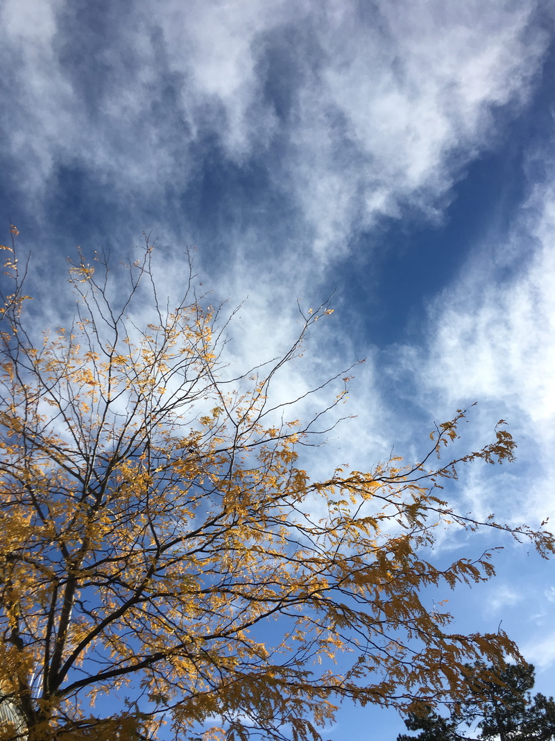 sky, tranquility, blue, smoke - physical structure, autum, cloud - sky, scenics - nature, day, nature, austria, plant, beauty in nature, vienna, non-urban scene