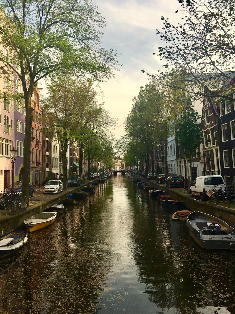 land vehicle, rain, transportation, built structure, plant, tree, autum, city, boats, incidental people, amsterdam, 4K, canal, building, sky, nature, treelined