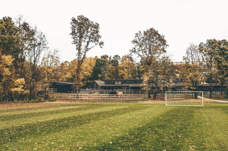 scenics - nature, tranquility, land, clear sky, outdoors, sky, grass, no people, rural, autum, plant, bagsværd, denmark, landscape, 5K, day, built structure