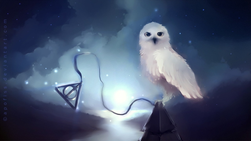 owls, hd, harry, artwork, 1080P, potter, abstract, apofiss, animals, art, deviantart, fantasy, x