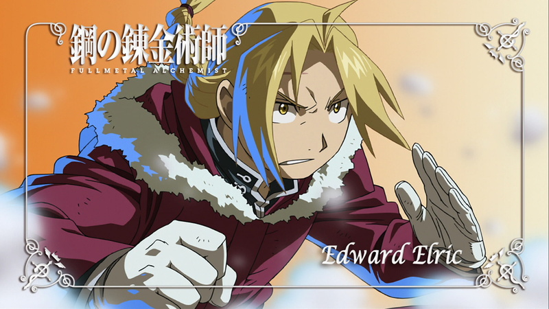 domestic life, Edward Elric, indoors, cat, lifestyles, text, FullMetal Alchemist, people, cleaning, relaxation, washing, exercising, business, communication