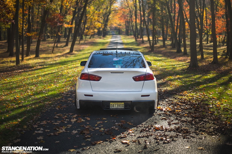 sports utility vehicle, beauty in nature, plant part, day, car, mode of transportation, outdoors, nature, autumn, forest, 720P, tree, change, transportation