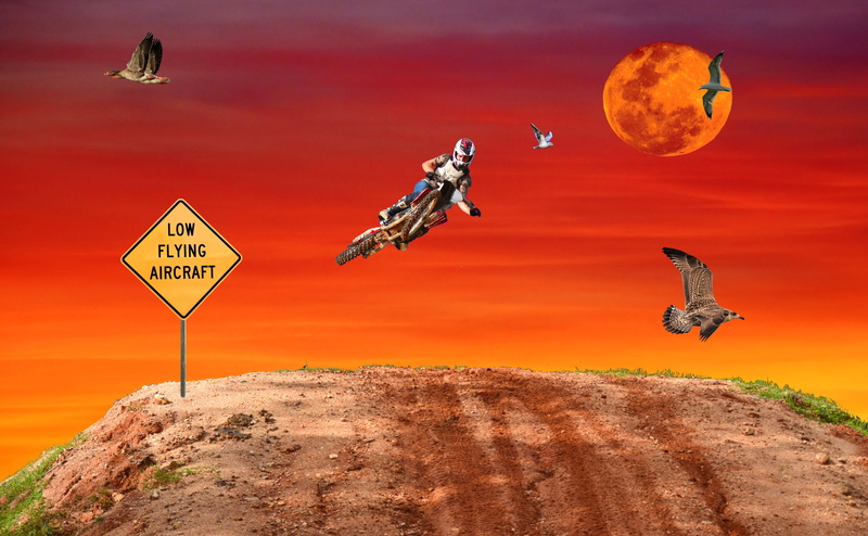 sport, flying, racer, stunt, road, fantasy, transportation, motocross, action, animal wildlife, full length, road sign, motorsport, sky, 4K, riding, dirtbike