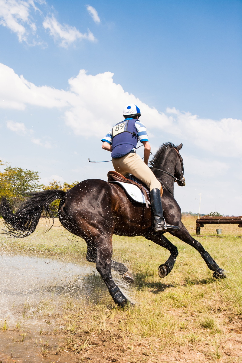 three day event, sky, teamwork, cross country, riding, animal themes, outdoors, water jump, herbivorous, equestrian, action, man, low angle, partnership