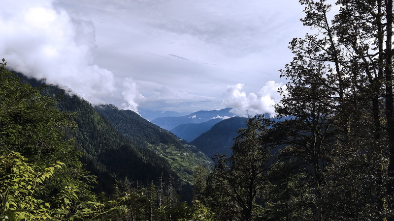 hiker, tourist, travel, scenics - nature, sunlight, adventure, hiking, nature, backpack, tranquil scene, day, forest, coniferous tree, woman, hills, tranquility