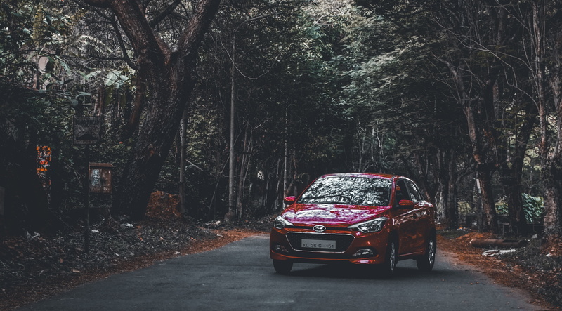 land, road, hyundai, growth, outdoors, land vehicle, motor vehicle, the way forward, trunk, plant, day, hyundai i20, no people, nature, car, tree trunk