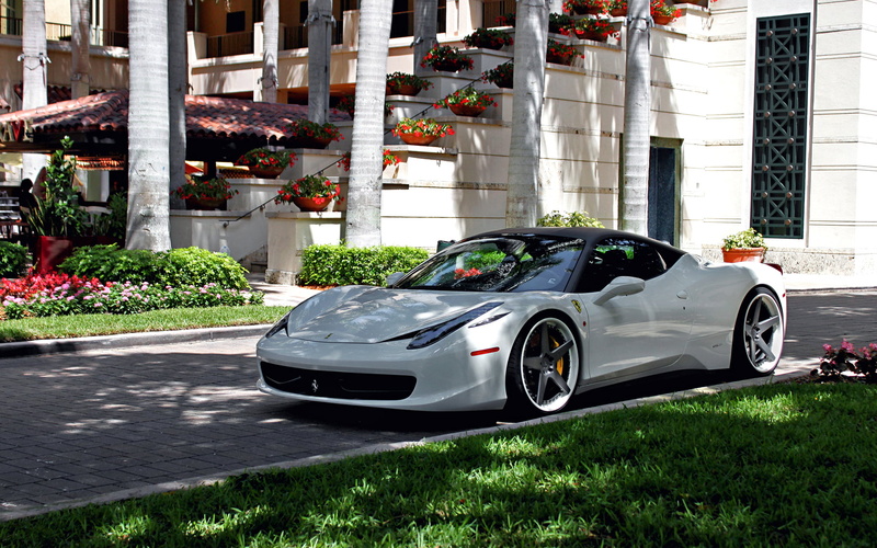 stationary, luxury, Italia, mode of Transport, plant, super - Film Title, built structure, sports Car, Villa, new, wheel, motor vehicle, growth, parking
