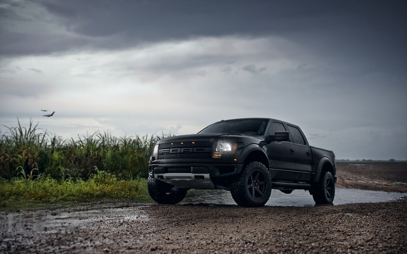 nature, road, land, raptor, Ford, stationary, motor vehicle, wheel, environment, sky, car, no people, travel, landscape, ranger, mode of transportation