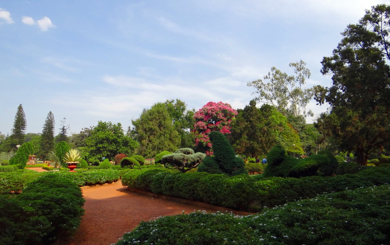 botanical garden, beauty in nature, tree, no people, greenery, day, hedge, garden path, india, green color, tranquility, park - man made space, garden