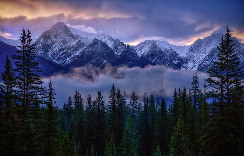 nature, Canada, pine trees, Banff National Park, sunlight, 720P, photography, forest, clouds, mountains, mist, landscape, snowy peak, sunrise