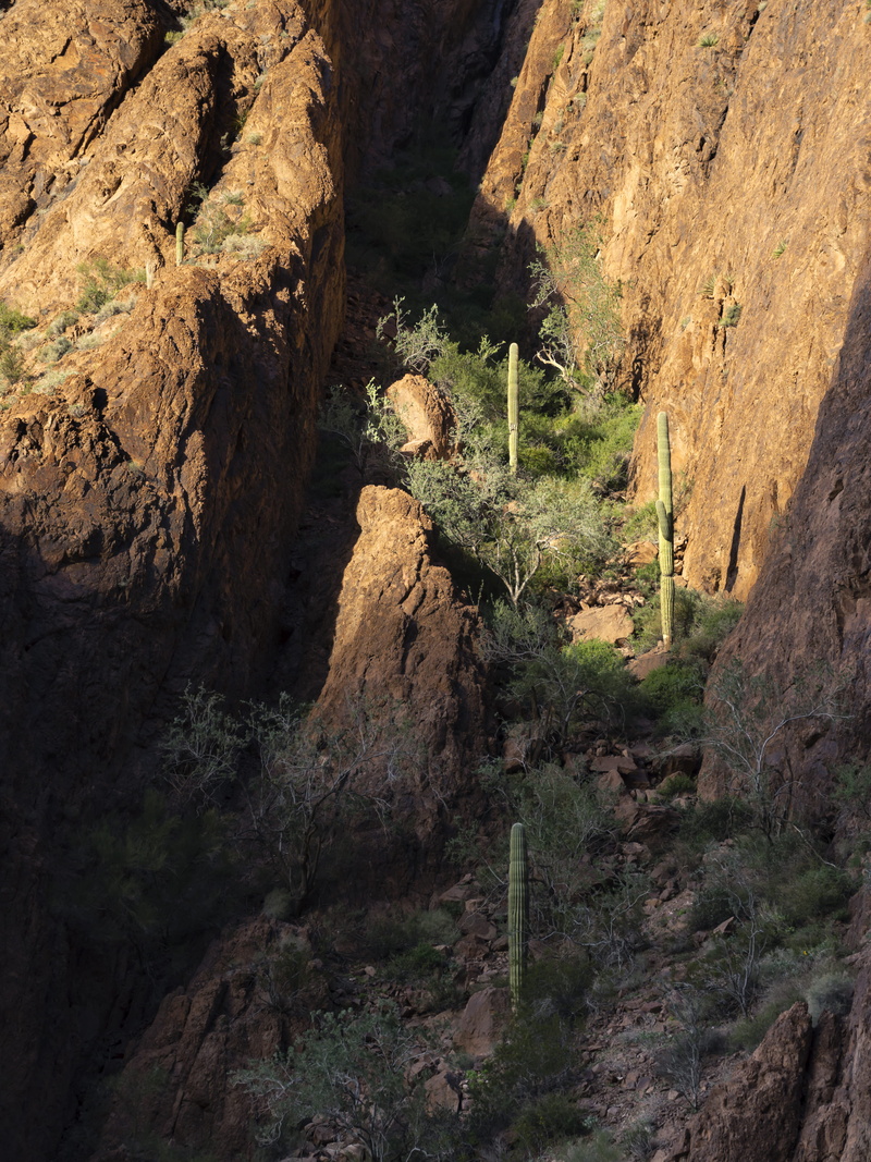 ravine, valley, non-urban scene, formation, outdoors, arid climate, mesa, sundown, scenics - nature, tranquility, Arizona, rock, rock formation, nature