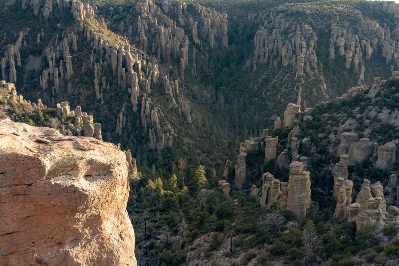 tree, photography, rock - object, rocks, chiricahua, rocky, physical geography, land, tranquil scene, rock formation, beauty in nature, mountain, eroded