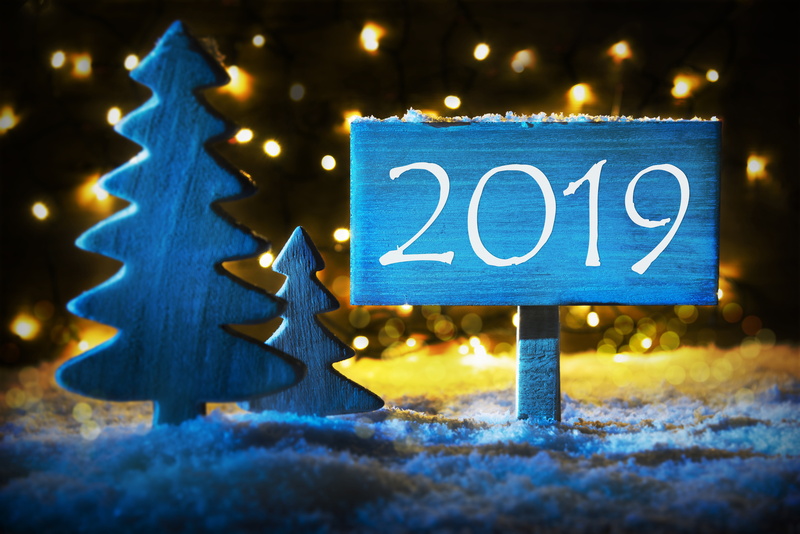 background, Two thousand nineteen, holiday, christmas, 5K, New Year, decor, snow, tree, winter, snowflakes