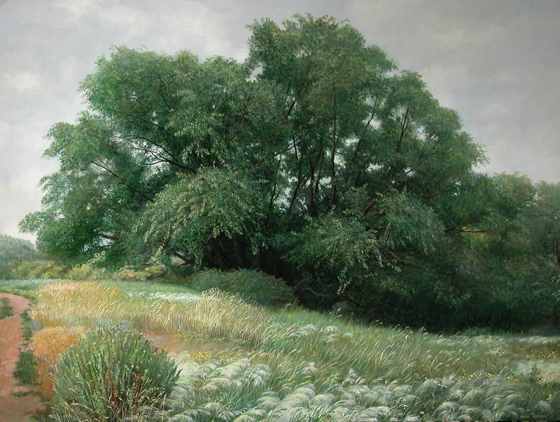 grass, 1080P, trees, path, Two thousand nine, Aibek Begalin, Spassk