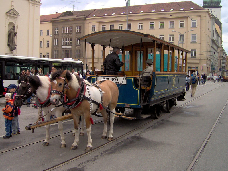 built structure, town, vertebrate, outdoors, domestic, travel, republic, men, herbivorous, tourist, mode of Transport, people, tram, Horse Drawn Tram, public domain