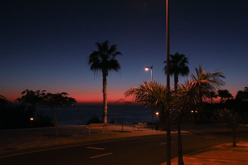 sunset, 5K, tropical tree, street light, lighting equipment, palm trees, ocean, outdoors, street, moon, plant, sky, palm tree, tree, illuminated, swimming pool