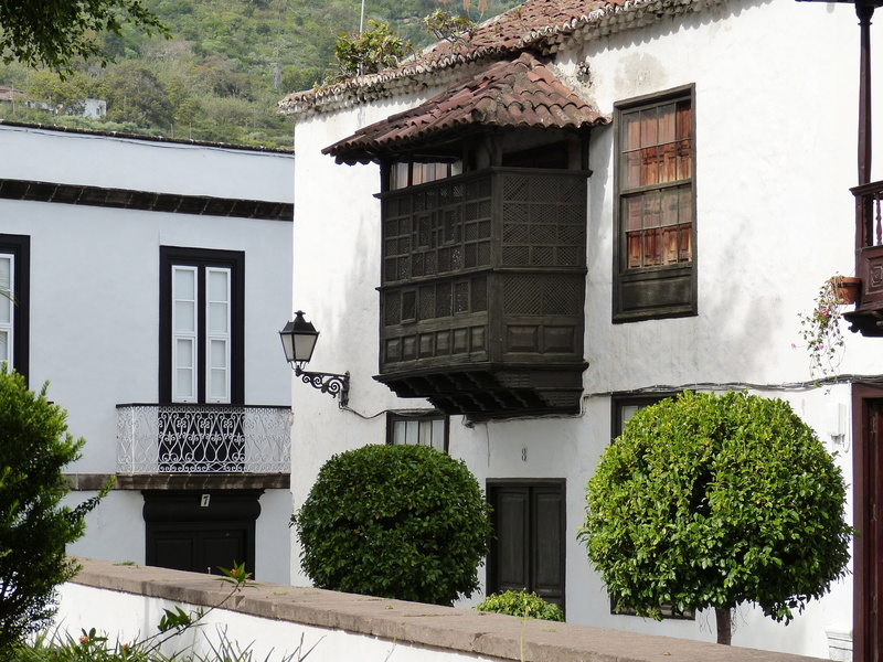 growth, outdoors, tree, white color, building, residential district, tenerife, low angle view, holiday, house, green color, spain, nature, plant, village
